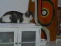 Oly (6)